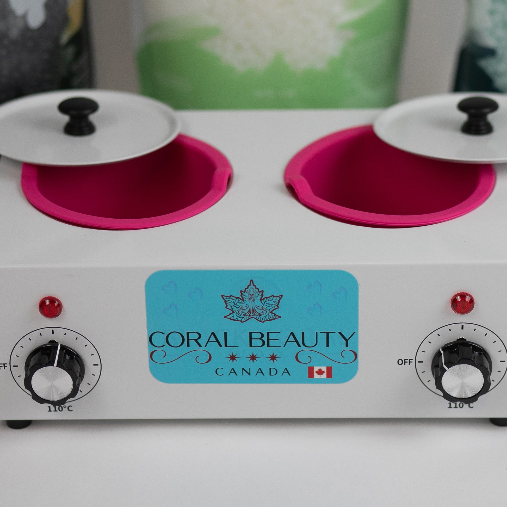 Double Wax Warmer, Waxing Kit