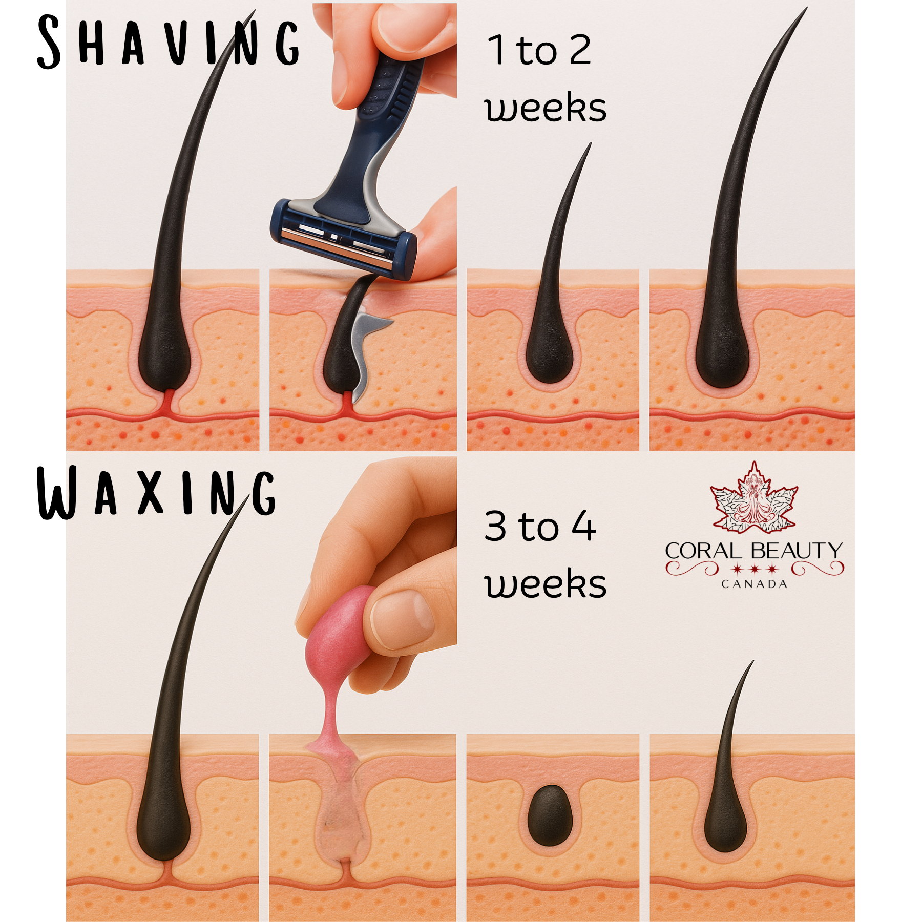 Shaving vs. Waxing: The Ultimate Hair Removal Showdown