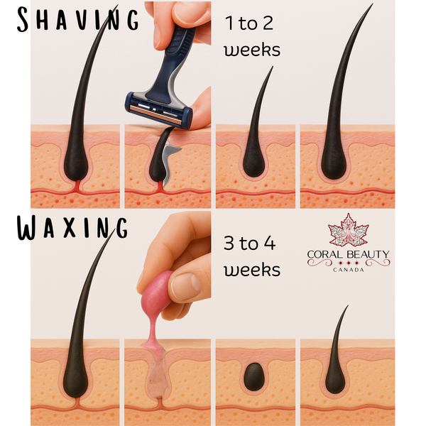 Shaving vs. Waxing: The Ultimate Hair Removal Showdown